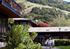 欧佳谷中学(Ojai Valley School)